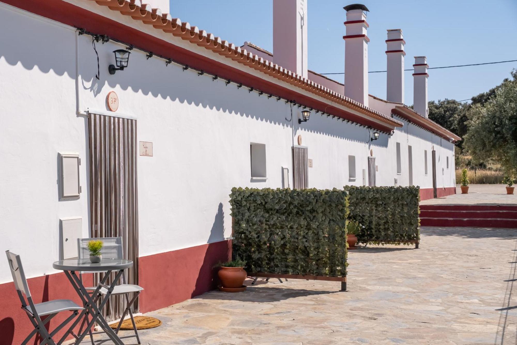 Casa Da Ritinha - Praia Azenhas D El Rey Montes Juntos Eksteriør bilde